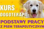 Kurs Dogoterapii Podstawy Pracy z Psem Terapeutycznym